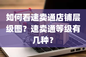 如何看速卖通店铺层级图？速卖通等级有几种？