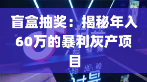 盲盒抽奖：揭秘年入60万的暴利灰产项目