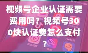 视频号企业认证需要费用吗？视频号300块认证费怎么支付？