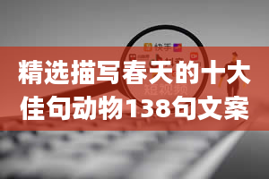 精选描写春天的十大佳句动物138句文案