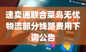 速卖通联合菜鸟无忧物流部分线路费用下调公告