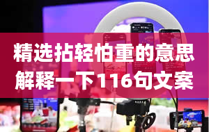 精选拈轻怕重的意思解释一下116句文案