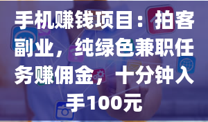 手机赚钱项目：拍客副业，纯绿色兼职任务赚佣金，十分钟入手100元