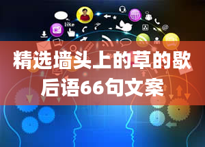 精选墙头上的草的歇后语66句文案