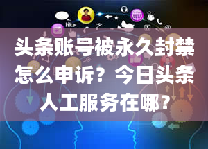 头条账号被永久封禁怎么申诉？今日头条人工服务在哪？