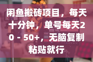 闲鱼搬砖项目，每天十分钟，单号每天20－50+，无脑复制粘贴就行