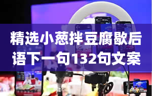 精选小葱拌豆腐歇后语下一句132句文案