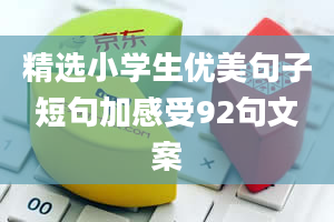 精选小学生优美句子短句加感受92句文案