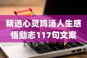 精选心灵鸡汤人生感悟励志117句文案