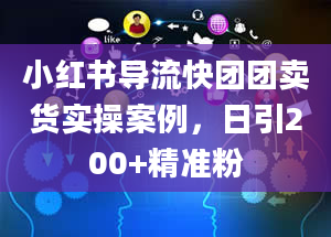 小红书导流快团团卖货实操案例，日引200+精准粉