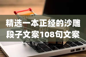 精选一本正经的沙雕段子文案108句文案