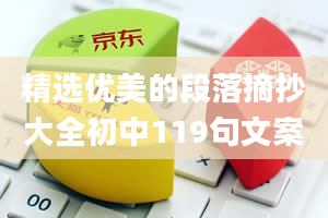 精选优美的段落摘抄大全初中119句文案