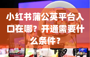 小红书蒲公英平台入口在哪？开通需要什么条件？