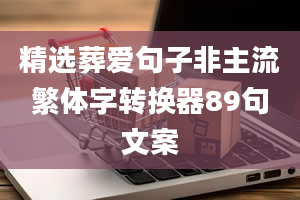 精选葬爱句子非主流繁体字转换器89句文案