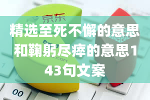 精选至死不懈的意思和鞠躬尽瘁的意思143句文案