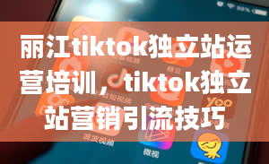 丽江tiktok独立站运营培训，tiktok独立站营销引流技巧