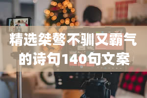 精选桀骜不驯又霸气的诗句140句文案