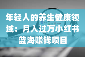 年轻人的养生健康领域：月入过万小红书蓝海赚钱项目