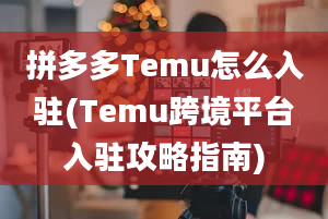 拼多多Temu怎么入驻(Temu跨境平台入驻攻略指南)