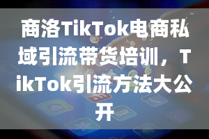 商洛TikTok电商私域引流带货培训，TikTok引流方法大公开