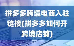 拼多多跨境电商入驻链接(拼多多如何开跨境店铺)