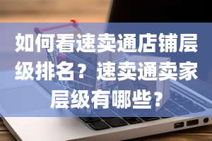 如何看速卖通店铺层级排名？速卖通卖家层级有哪些？