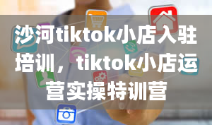 沙河tiktok小店入驻培训，tiktok小店运营实操特训营