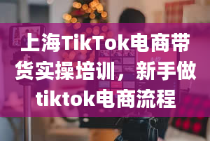 上海TikTok电商带货实操培训，新手做tiktok电商流程