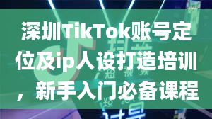 深圳TikTok账号定位及ip人设打造培训，新手入门必备课程