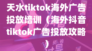 天水tiktok海外广告投放培训（海外抖音tiktok广告投放攻略）