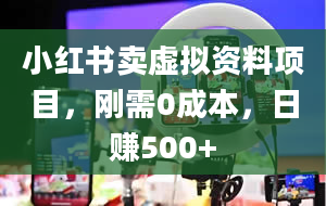 小红书卖虚拟资料项目，刚需0成本，日赚500+