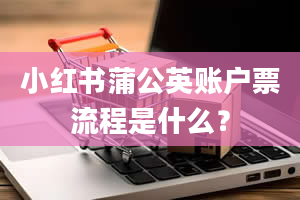 小红书蒲公英账户票流程是什么？