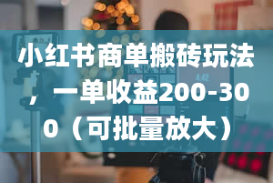 小红书商单搬砖玩法，一单收益200-300（可批量放大）