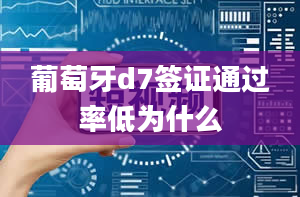 葡萄牙d7签证通过率低为什么