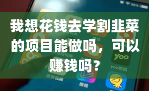 我想花钱去学割韭菜的项目能做吗，可以赚钱吗？