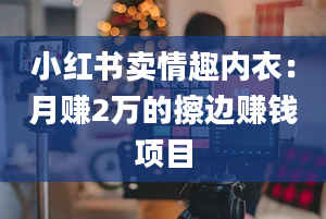 小红书卖情趣内衣：月赚2万的擦边赚钱项目