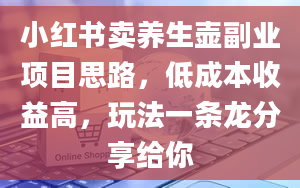 小红书卖养生壶副业项目思路，低成本收益高，玩法一条龙分享给你