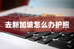 去新加坡怎么办护照