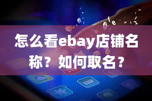 怎么看ebay店铺名称？如何取名？