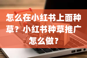 怎么在小红书上面种草？小红书种草推广怎么做？