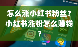 怎么涨小红书粉丝？小红书涨粉怎么赚钱？