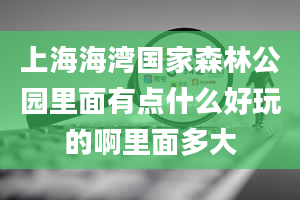 上海海湾国家森林公园里面有点什么好玩的啊里面多大