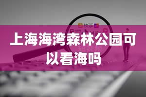 上海海湾森林公园可以看海吗