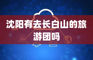 沈阳有去长白山的旅游团吗