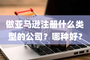 做亚马逊注册什么类型的公司？哪种好？