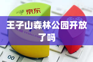 王子山森林公园开放了吗