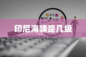 印尼海啸是几级