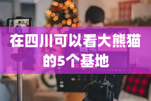 在四川可以看大熊猫的5个基地