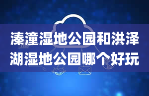 溱潼湿地公园和洪泽湖湿地公园哪个好玩