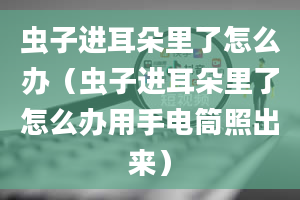 虫子进耳朵里了怎么办（虫子进耳朵里了怎么办用手电筒照出来）